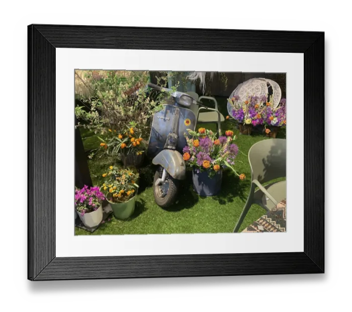 Framed Print : Lisse, Netherlands. April 2023