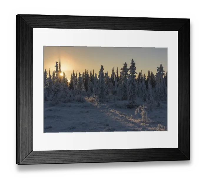 Framed Print : Winter landscape against the light Framed Print : Winter landscape against the light