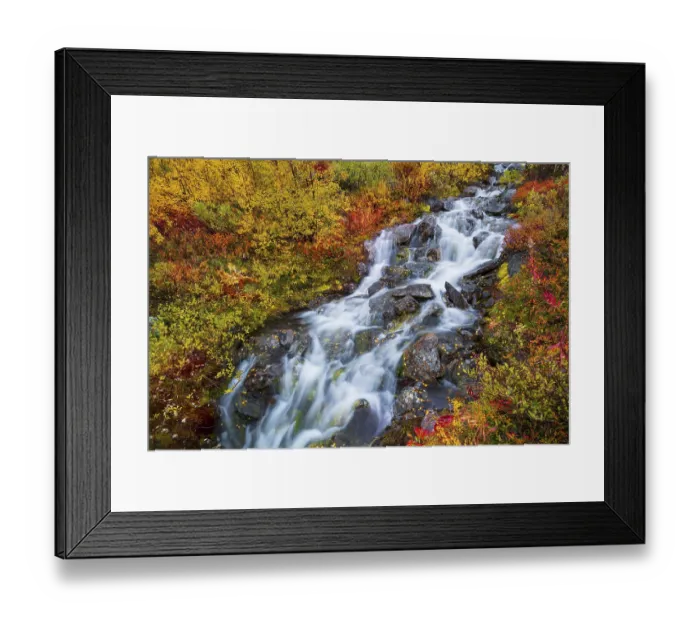 Framed Print : Small mountain stream with colourful vegetation in autumn Framed Print : Small mountain stream with colourful vegetation in autumn