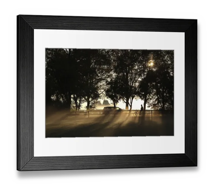 Framed Print : A cyclist rides freehand in the golden backlight of the morning sun on a cycle path under trees