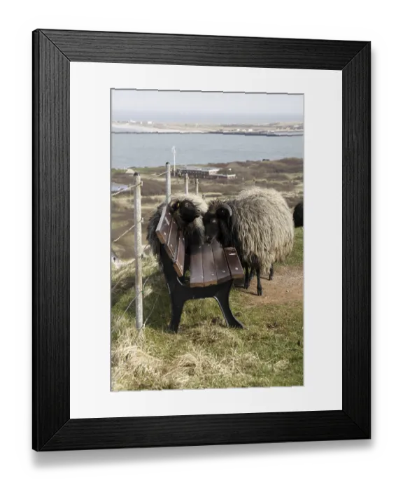 Framed Print : Skudden rub against a bench