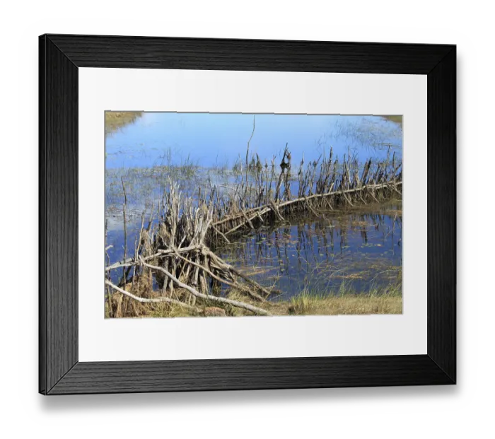 Framed Print : Fish creel near Mongu, Zambia Framed Print : Fish creel near Mongu, Zambia