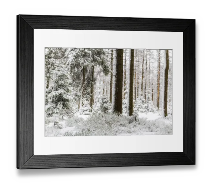 Framed Print : Harz National Park the Oderteich in winter Framed Print : Harz National Park the Oderteich in winter