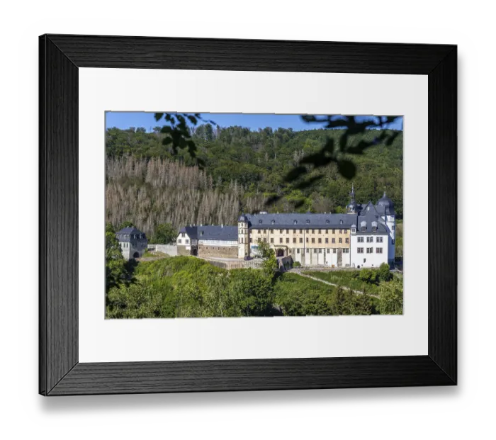 Framed Print : Stolberg in the Harz European City