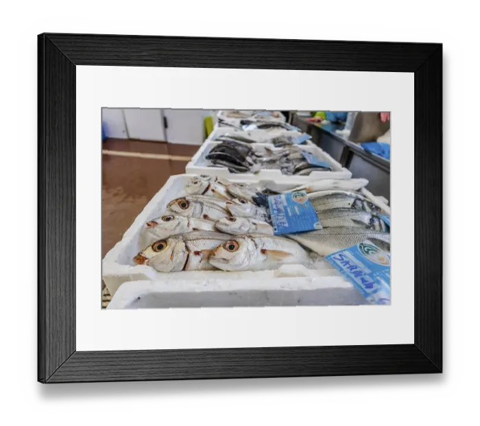 Framed Print : Fresh fish sold on traditional market in Zambujeira do Mar