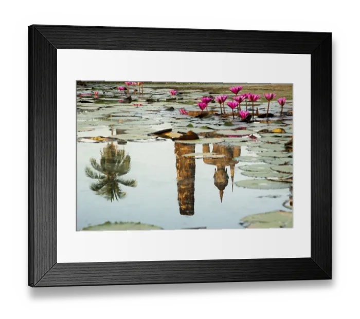 Framed Print : Reflection of a Buddha statue in a pond with Red Water Lilies (Nymphaea rubra)