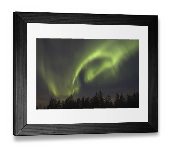 Framed Print : Aurora Borealis, over coniferous forest at night