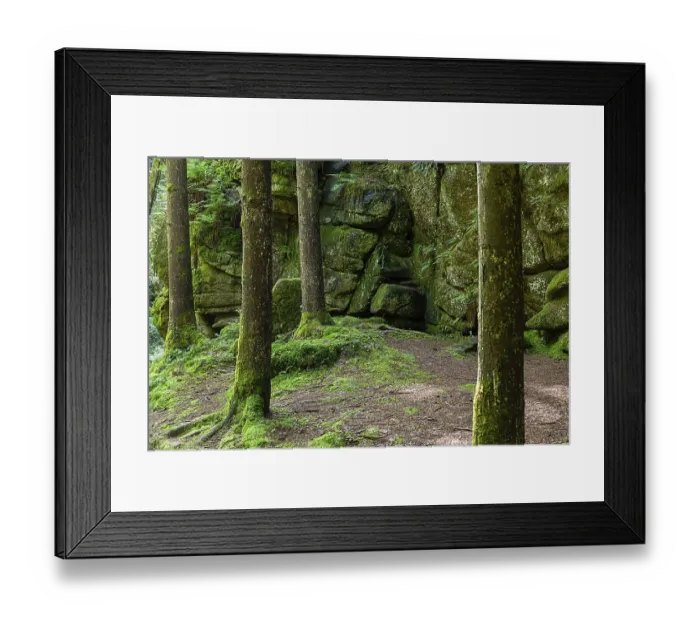 Framed Print : Dense trees and mossy rocks create a mystical atmosphere in a section of forest Stillenbachklamm Muhlviertel Upper Framed Print : Dense trees and mossy rocks create a mystical atmosphere in a section of forest Stillenbachklamm Muhlviertel Upper