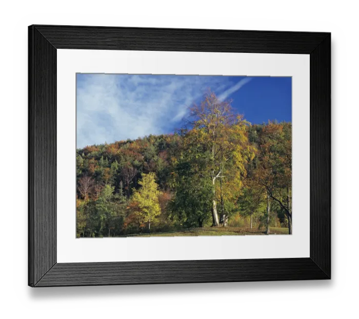 Framed Print : Colourful autumn colours at a forest and a hunting shed