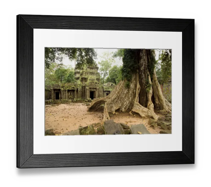 Framed Print : Scenic ruins of the famous Ta Prohm temple in Cambodia