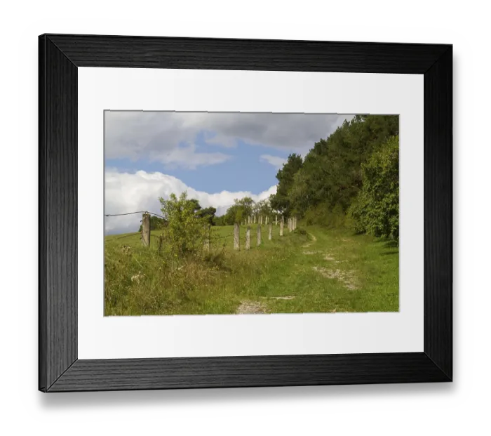 Framed Print : Meadow path in the Harz Mountains