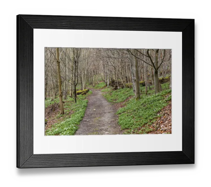 Framed Print : Hiking Trail Harz Selketal Framed Print : Hiking Trail Harz Selketal