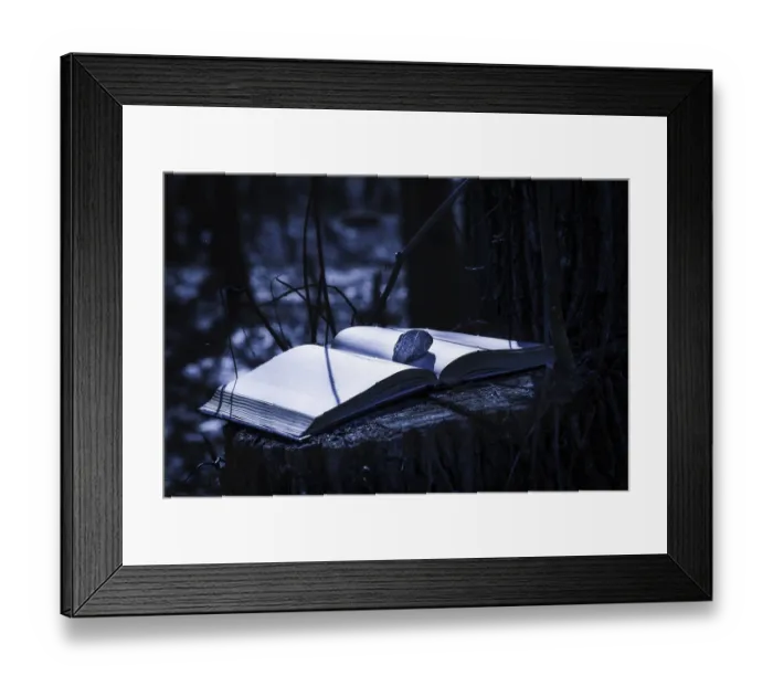 Framed Print : A mysterious book stays on the tree trunk with a stone on a page Framed Print : A mysterious book stays on the tree trunk with a stone on a page