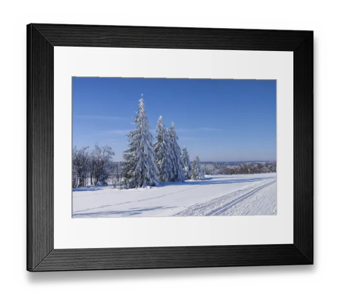 Framed Print : Winter forest, Forest in winter 01