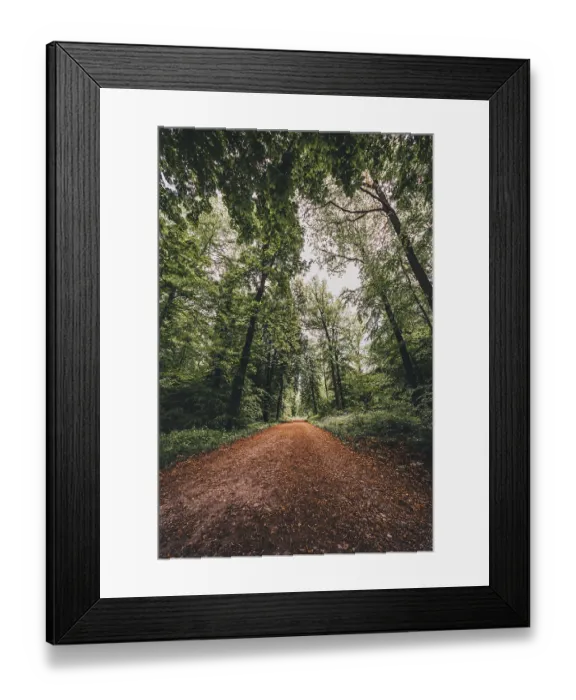 Framed Print : Hiking trail in the forest in the Deister near Hanover