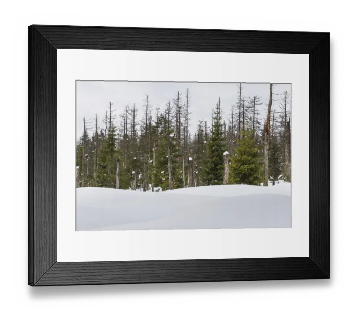 Framed Print : Harz National Park View from the Brocken Plateau Framed Print : Harz National Park View from the Brocken Plateau