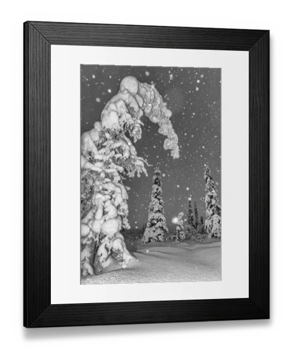 Framed Print : Snowfall in a snow-covered landscape Framed Print : Snowfall in a snow-covered landscape