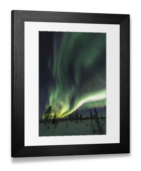Framed Print : Northern Lights (Aurora borealis)