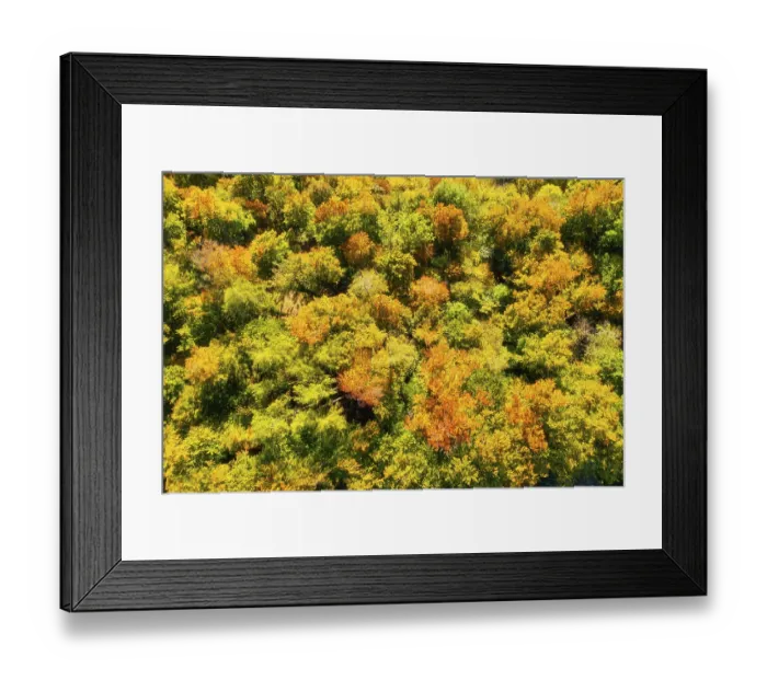 Framed Print : Autumnal deciduous forest, Wolfratshausen