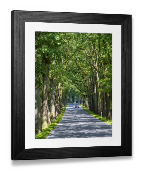 Framed Print : Trabant, Trabbi, on an avenue near Neuruppin