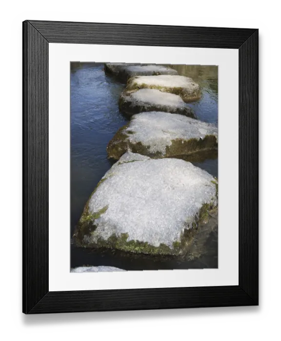 Framed Print : Stone path in a japanese water garden