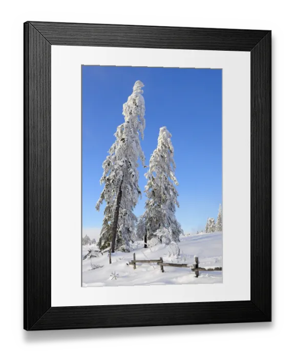 Framed Print : Black Forest, Black Forest in winter