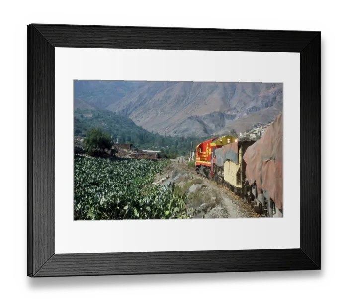 Framed Print : Train near San Bartolome, train