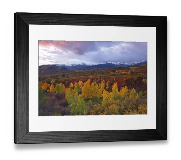 Framed Print : View from Dallas Divide to Sneffles Range Framed Print : View from Dallas Divide to Sneffles Range