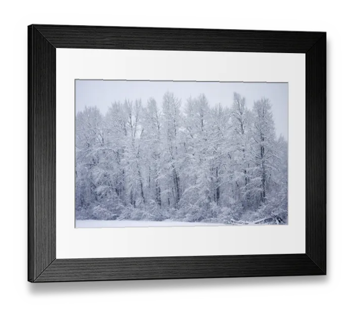 Framed Print : Winter Landscape near Haines in Alaska Framed Print : Winter Landscape near Haines in Alaska