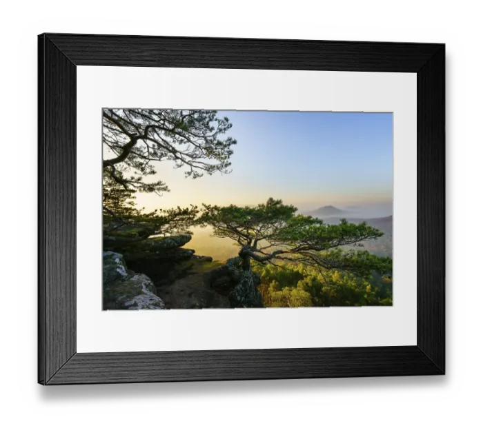 Framed Print : Palatinate Forest, morning mood
