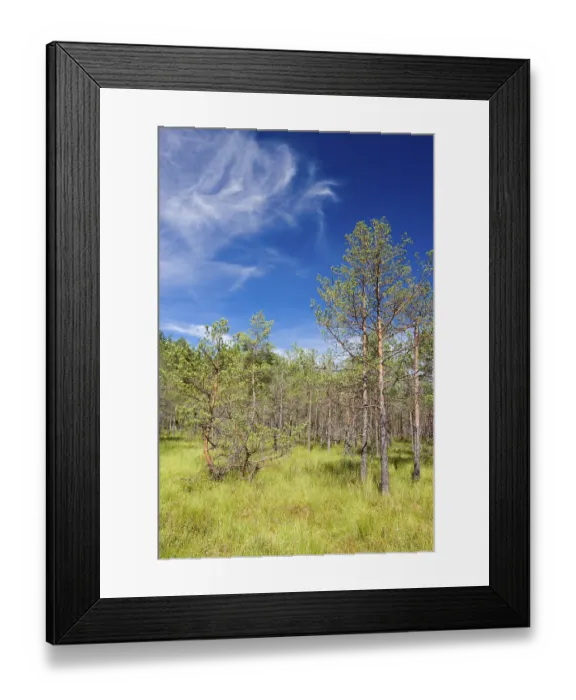 Framed Print : Cepkeliu National Nature Reserve