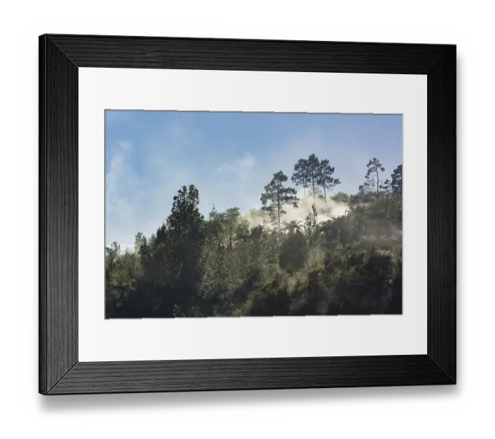 Framed Print : Tropical forest with fog and steam from hot springs Framed Print : Tropical forest with fog and steam from hot springs