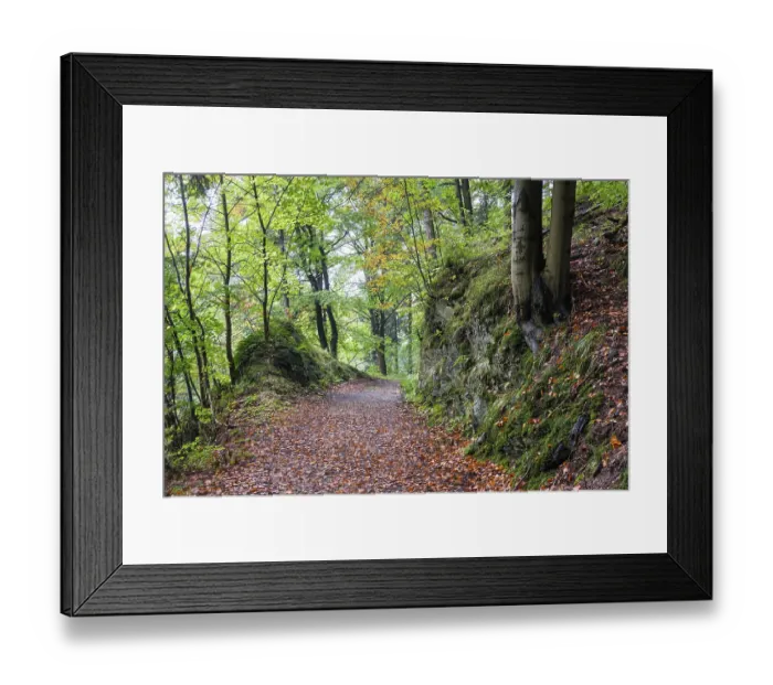 Framed Print : Autumn in the Harz National Park Framed Print : Autumn in the Harz National Park