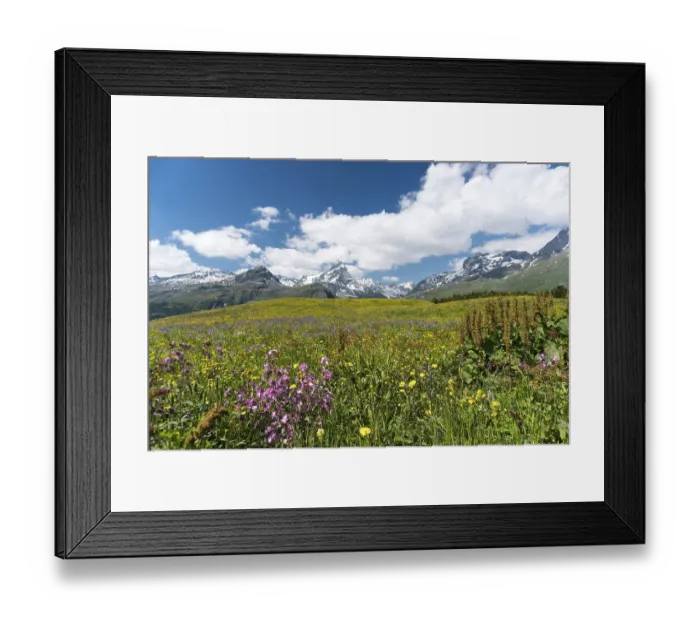 Framed Print : Idyllic mountain landscape in the summertime in the Swiss Alps