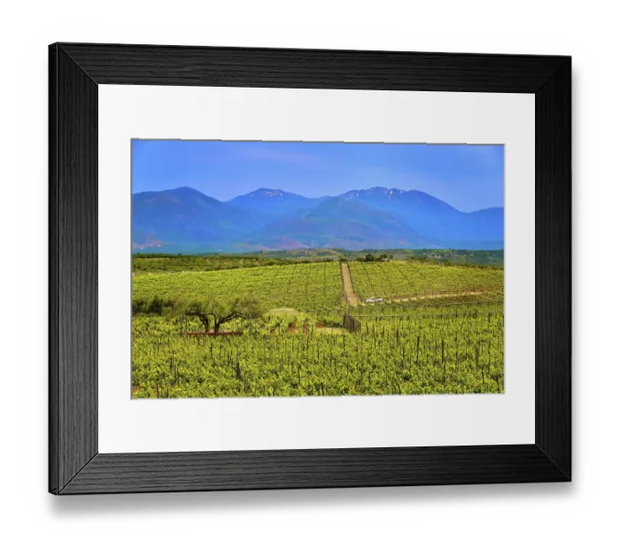 Framed Print : Beautiful landscape with vineyards and distant mountains