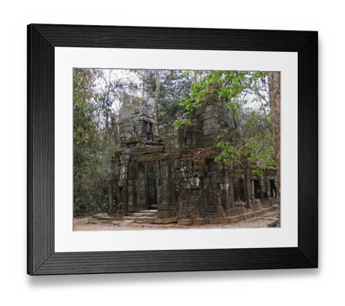 Framed Print : Ruins at Ta Prohm Temple, Siem Reap Province
