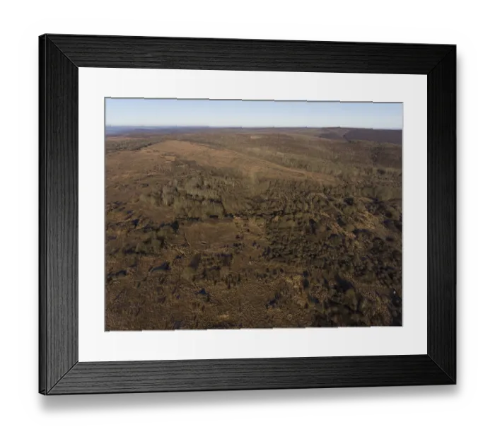 Framed Print : Hainich National Park, late autumn atmosphere