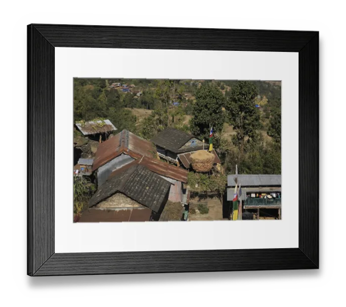 Framed Print : Corn on the cob stored in front of a farmhouse in Nepal