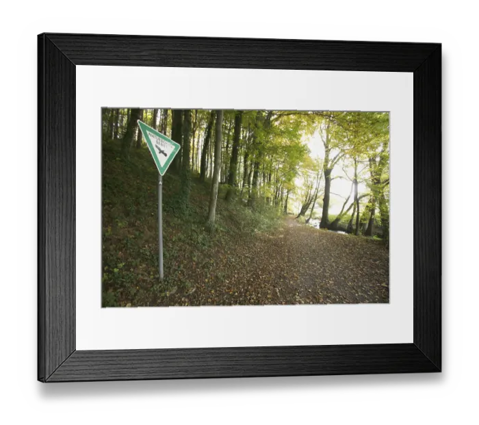 Framed Print : Forest road in a nature reserve