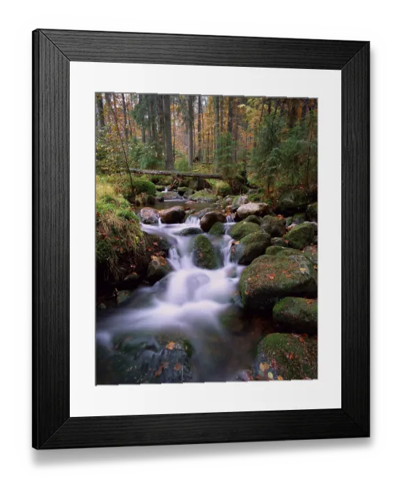 Framed Print : Forest stream, Bavarian Forest National Park Framed Print : Forest stream, Bavarian Forest National Park