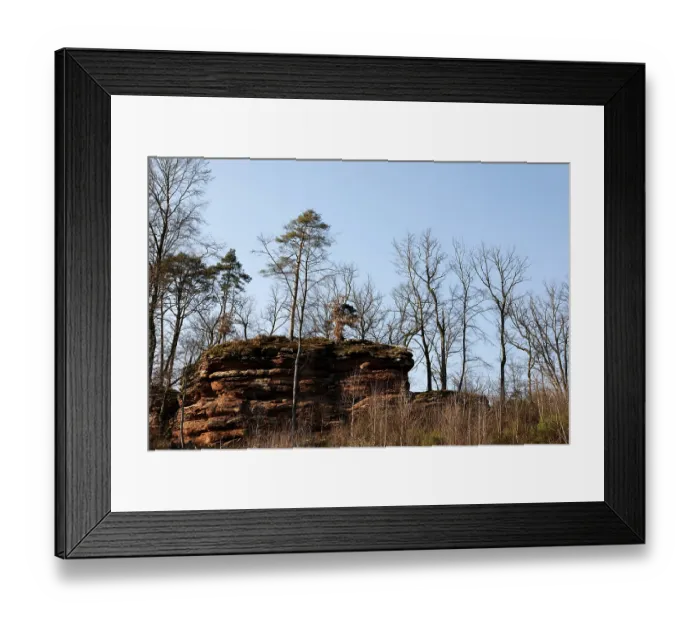 Framed Print : Buntsandstein Formation in the Palatinate Forest Framed Print : Buntsandstein Formation in the Palatinate Forest