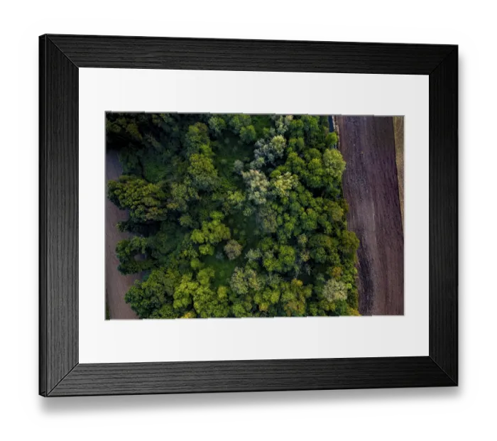 Framed Print : Aerial View dense area to forest vivid green trees