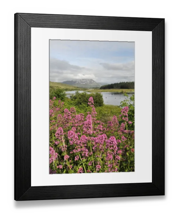 Framed Print : View of Mount Errigal from Gweedore Framed Print : View of Mount Errigal from Gweedore