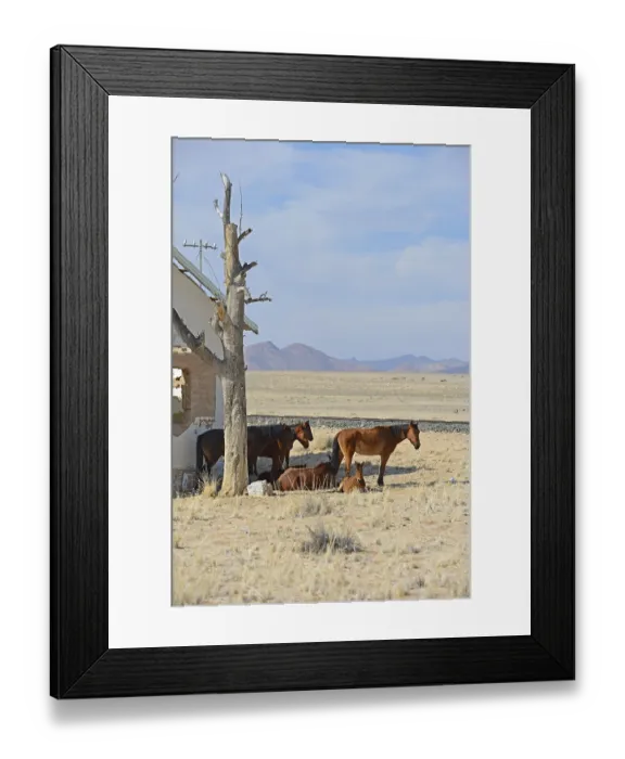 Framed Print : Wild horses at derelict Garub railway station building
