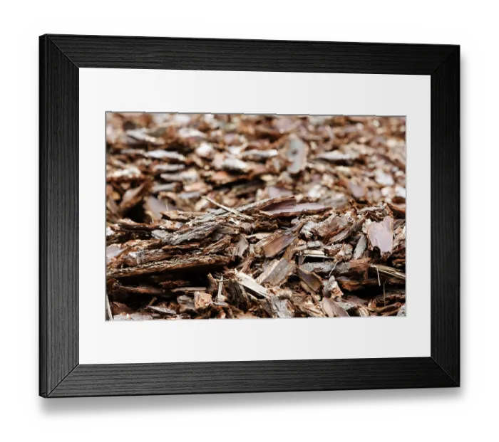 Framed Print : Bark mulch Framed Print : Bark mulch
