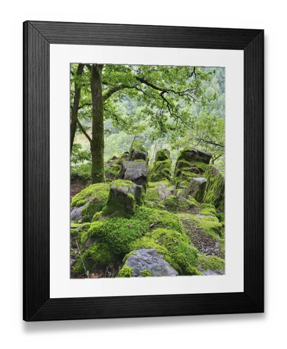 Framed Print : Moss-covered rock formation in the forest consists of large Framed Print : Moss-covered rock formation in the forest consists of large