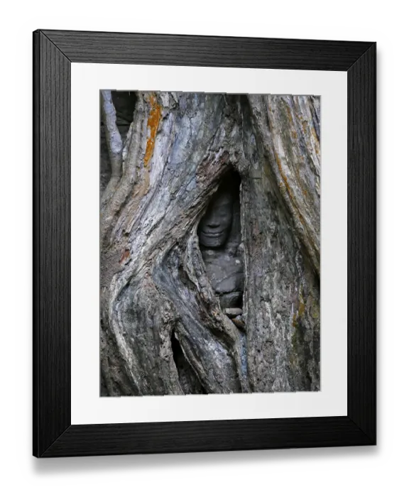Framed Print : Tree roots grow over the ancient Ta Prohm temple Framed Print : Tree roots grow over the ancient Ta Prohm temple