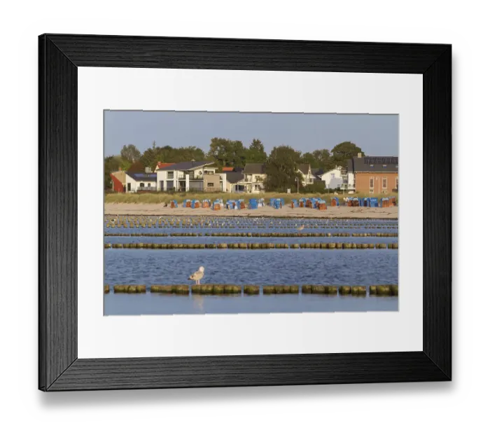 Framed Print : View over the groynes to Glowe beach