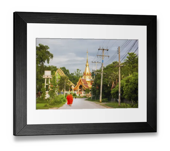 Framed Print : Buddhist monks walking back to the temple in the morning after recieive food offerings Framed Print : Buddhist monks walking back to the temple in the morning after recieive food offerings