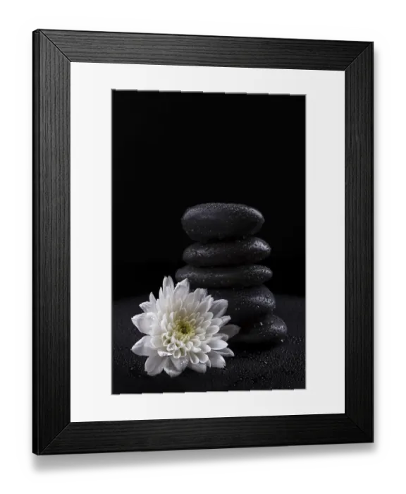 Framed Print : Zen basalt stones and white chrysanthemum on black background